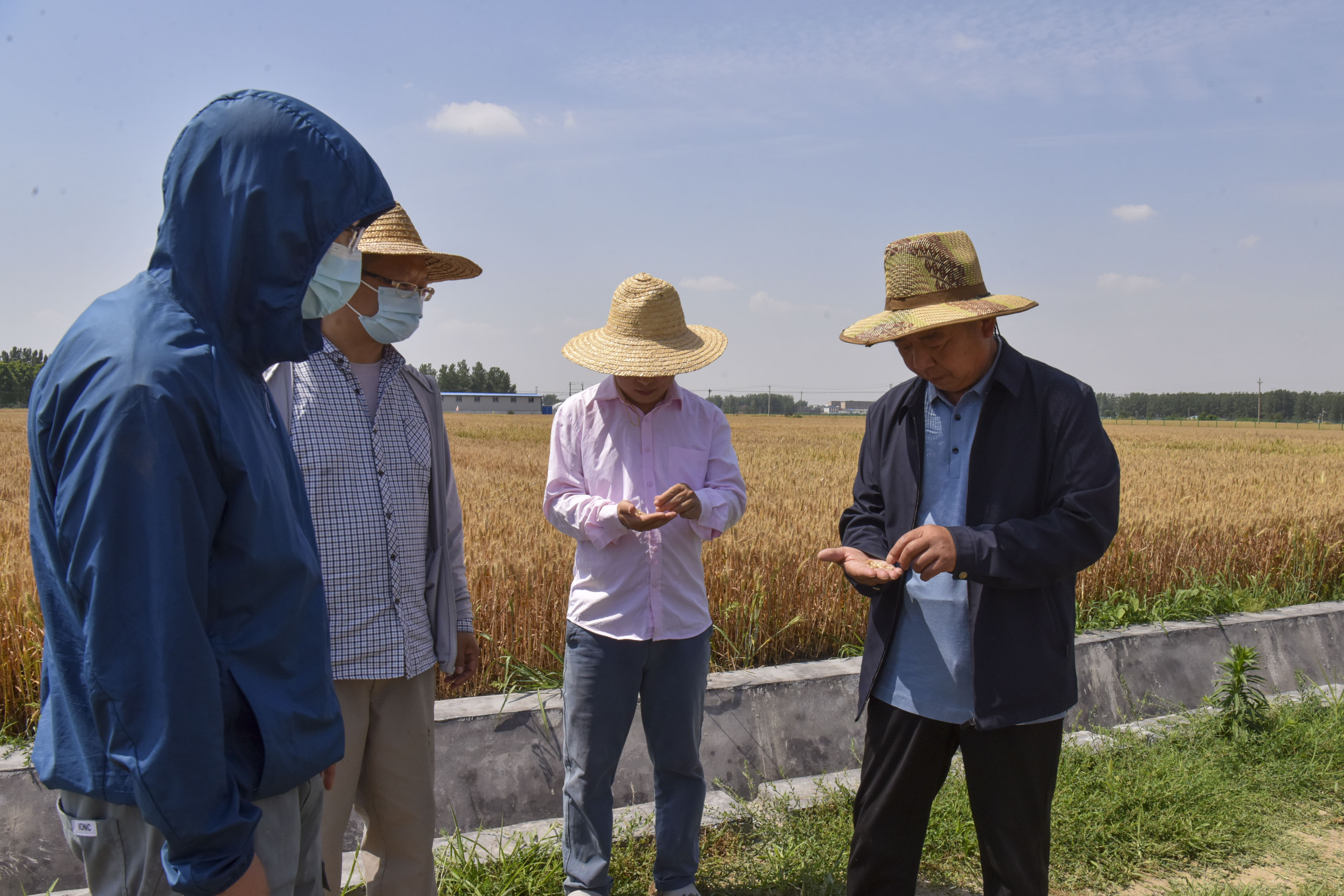 首页>头条>正文>据了解,县农技专家将持续深入各乡镇田间地头,强化