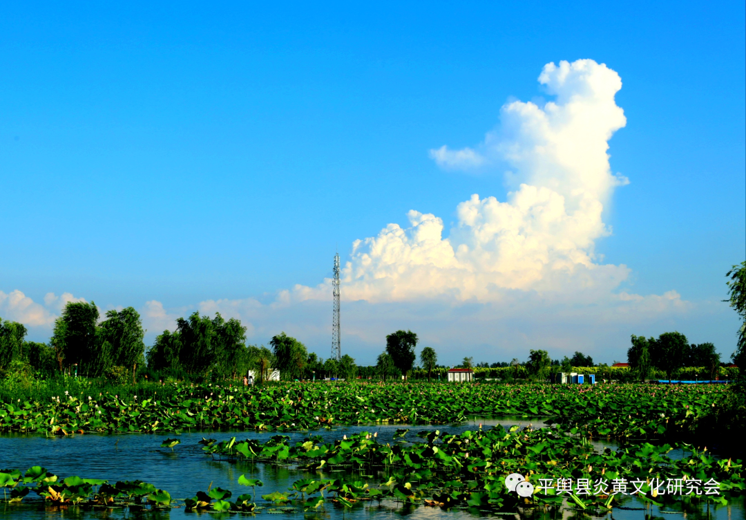 作品《歌唱》赵国富评委作品《生态家园》赵国富平舆县摄影家协会提供