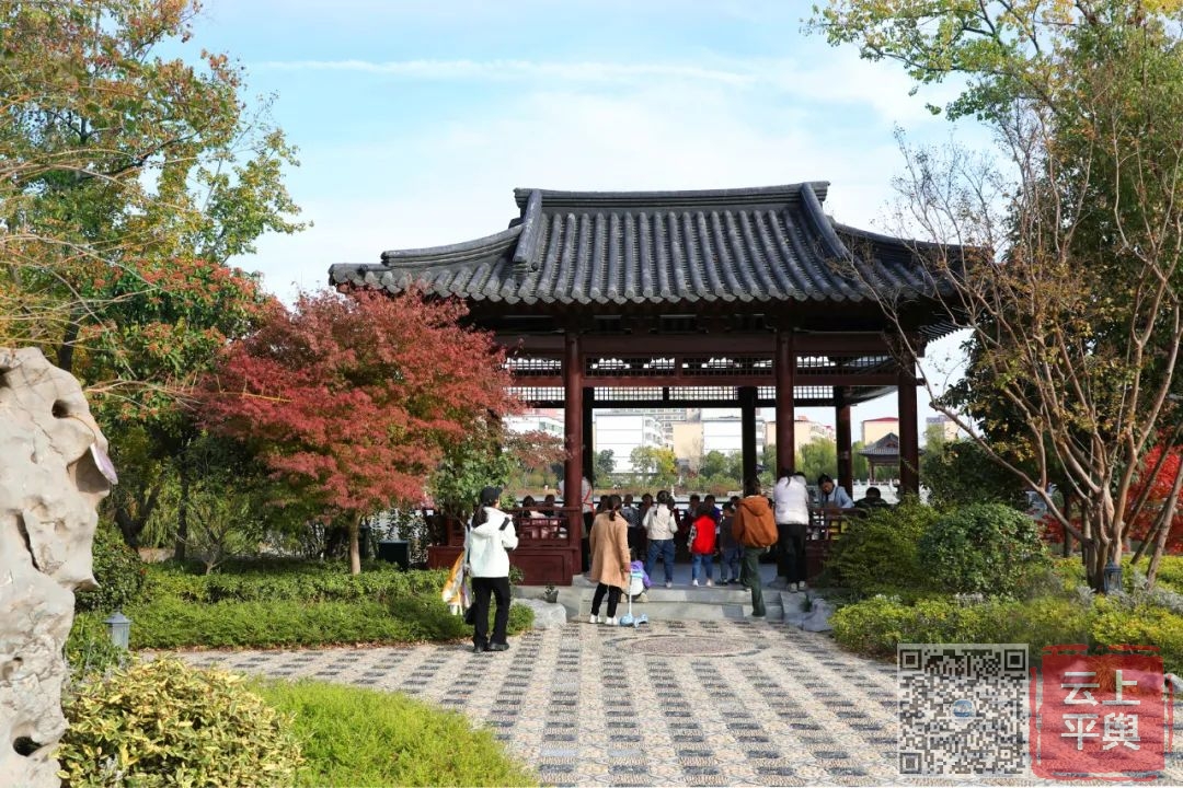 平舆县挚园初冬