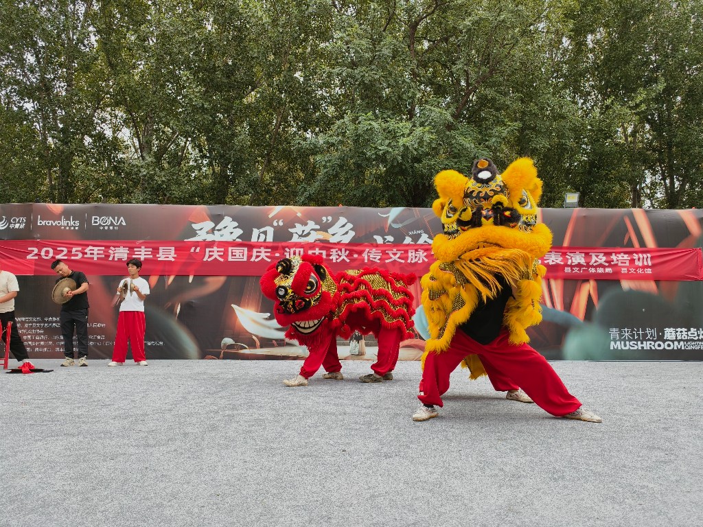 “群文绘锦绣 欢歌颂华诞”2025年清丰县“庆国庆・迎中秋”系列文化活动圆满落幕！
