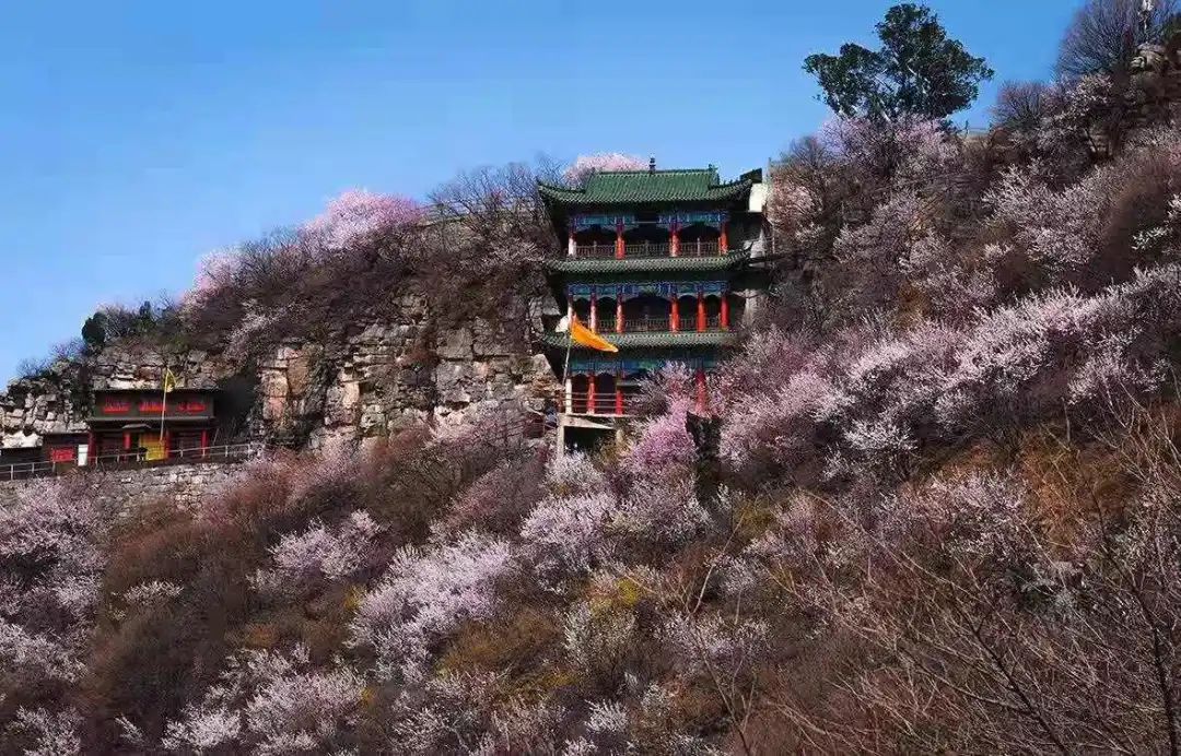 微信图片_20230211153436.jpg