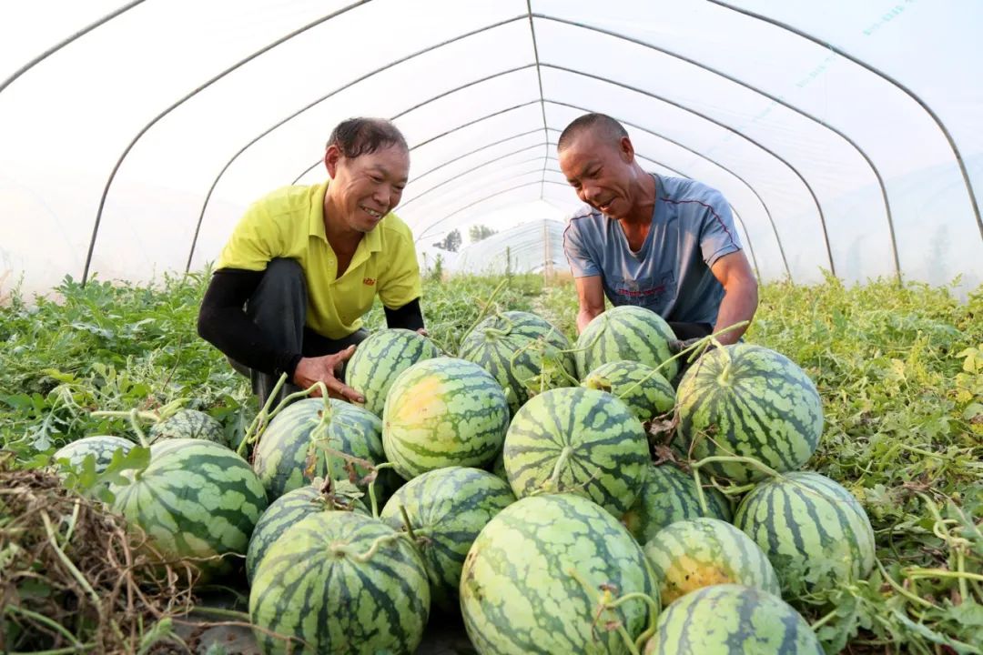 微信图片_20220802162822.jpg