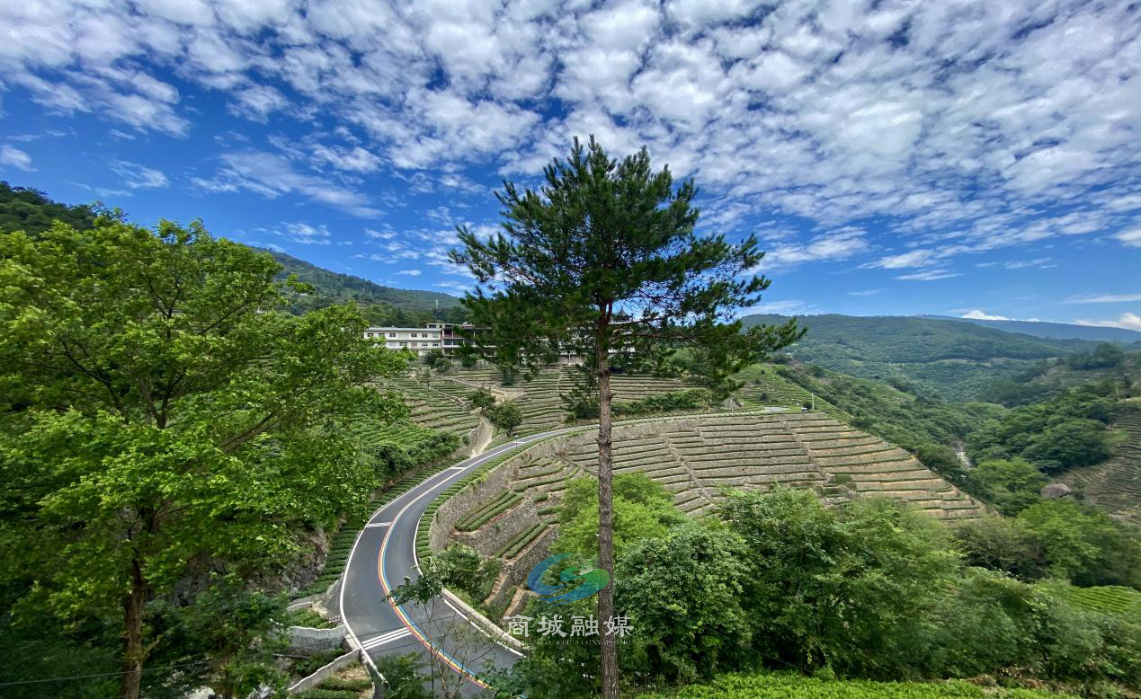 商城县苏仙石乡培优育强特色产业助推人居环境提颜增质