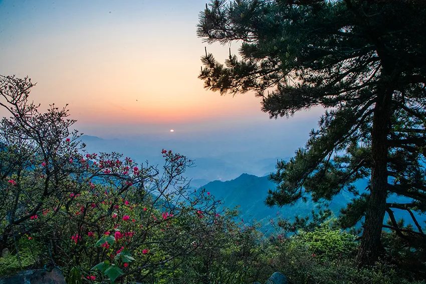 大别山最高峰图片