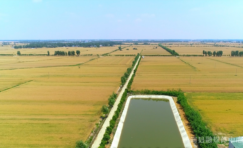 唐河县大河屯镇高标准农田建设项目助力乡村振兴