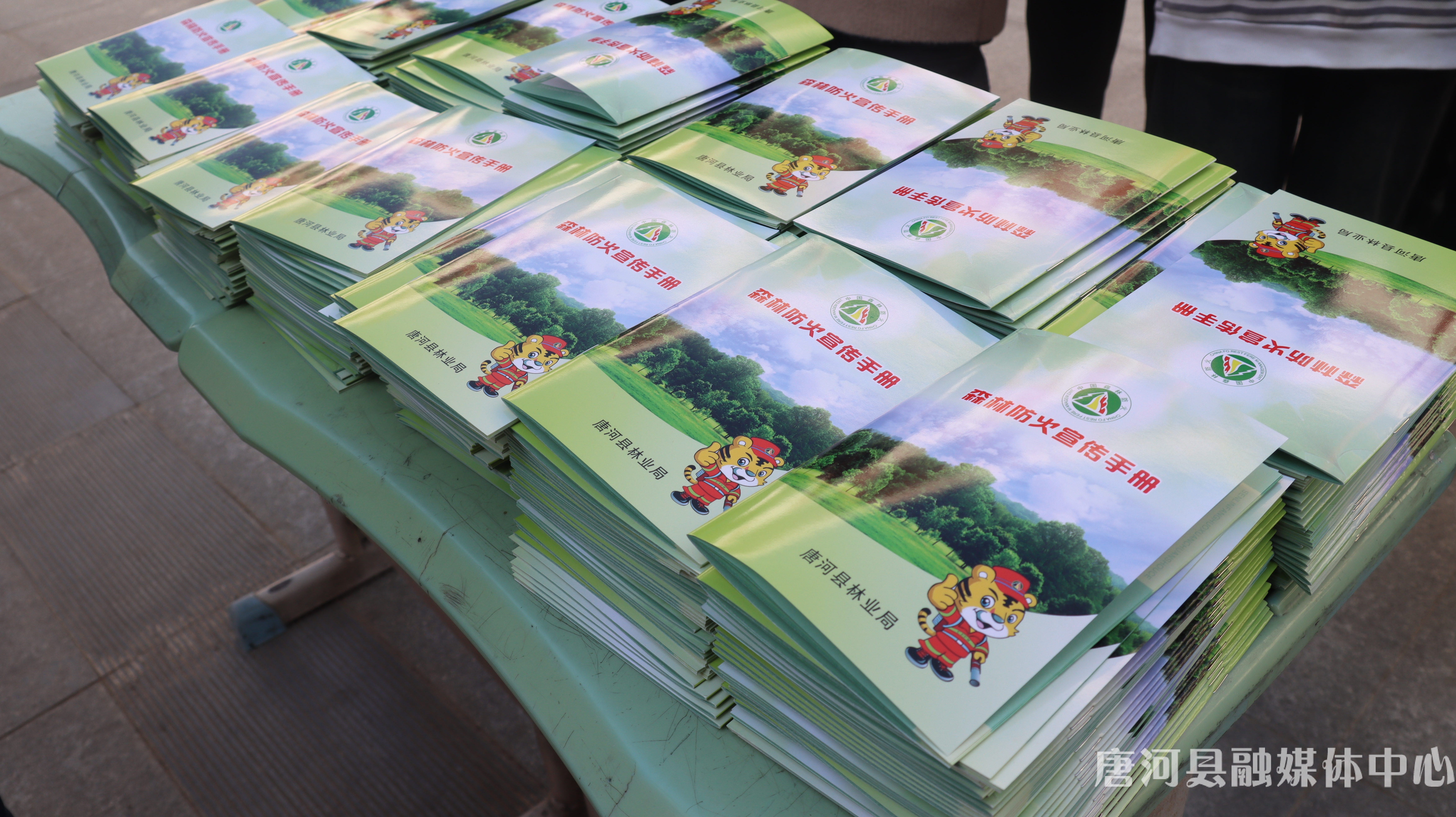 唐河县开展“小天使扛起护林防火重任”活动 (2).jpg