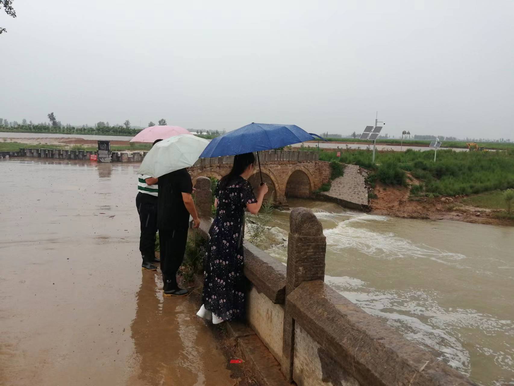汤阴菜园巡河不松懈防汛正当时