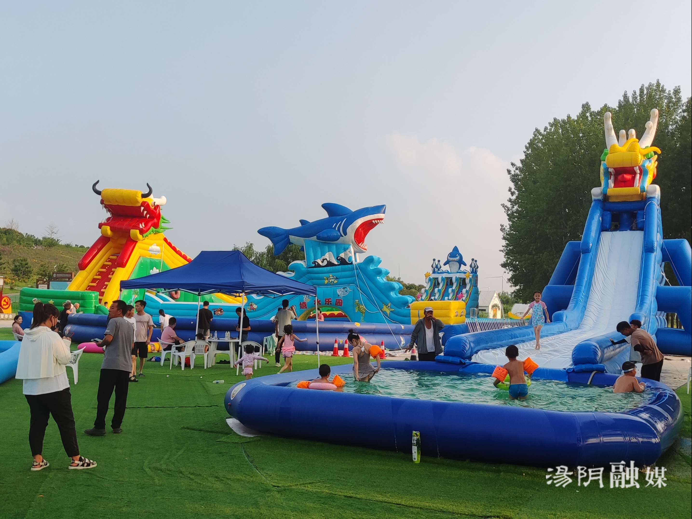 首页>云上河南>正文>清凉酷爽,阵阵音浪,欢声笑语,自汤阴汤河国家湿地