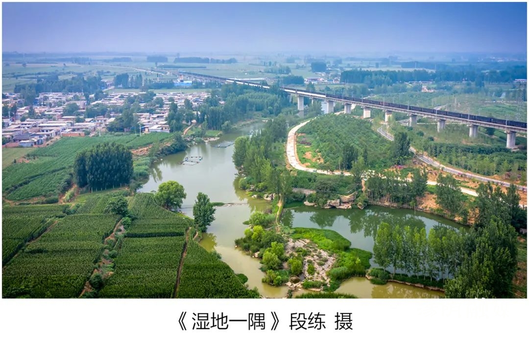 汤阴县汤河国家湿地公园珍爱湿地蓝梦汤河系列摄影作品选四