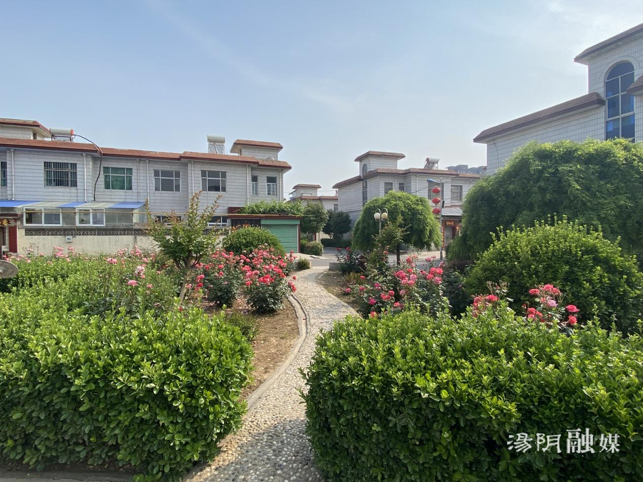 首页>头条>正文>"以前村里多是泥巴路,没有路灯,更没有绿化.