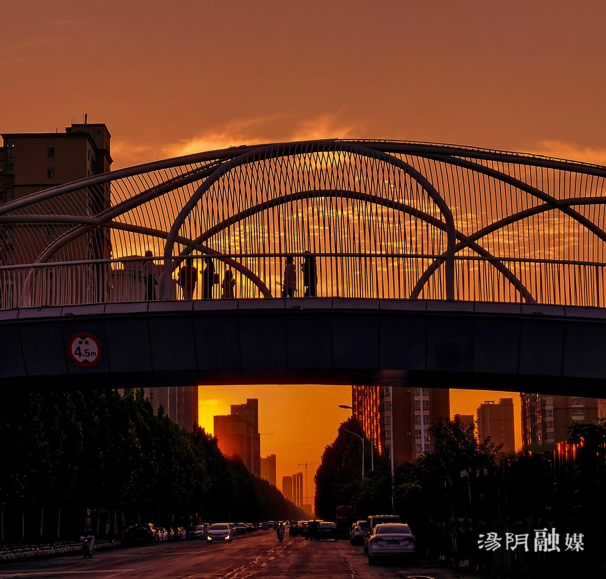 县融媒体中心>正文>陈小新 摄付新全 摄李灵 摄李涛 摄刘源 摄刘跃民