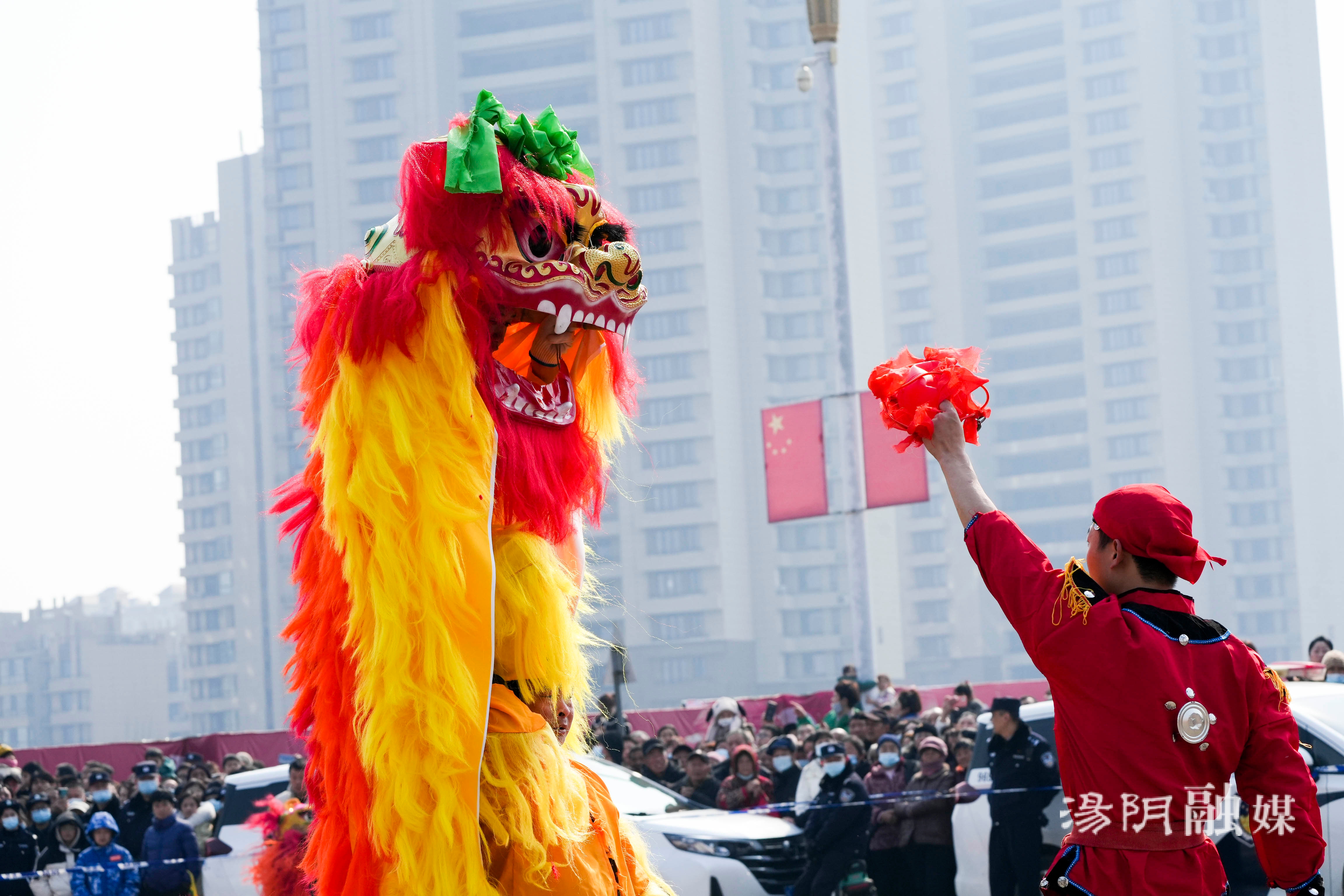 过年耍狮子的图片图片