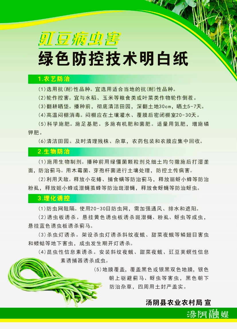 汤阴城关豇豆长豆角种植质量安全告知书