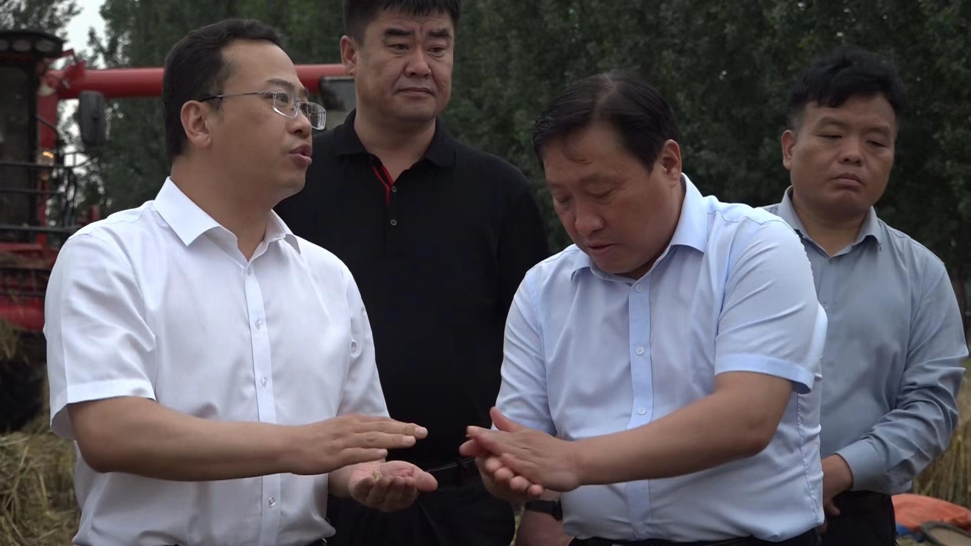 通许张云涛深入调研指导三夏生产