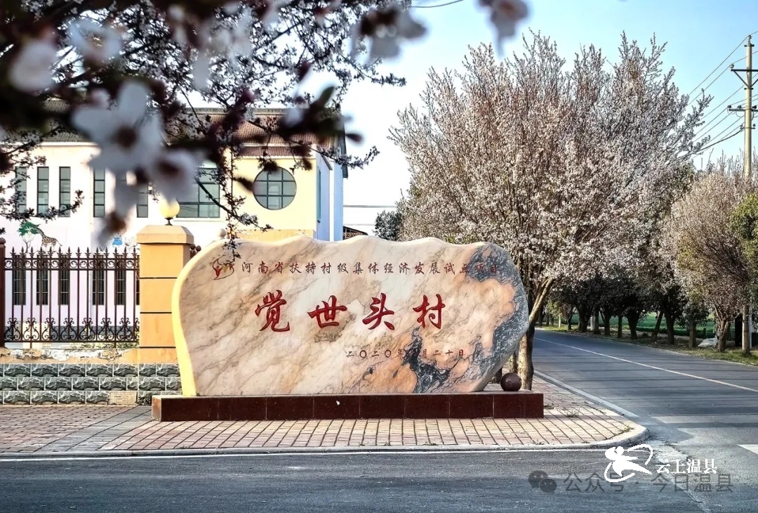 温县,魅力无限!-大象网