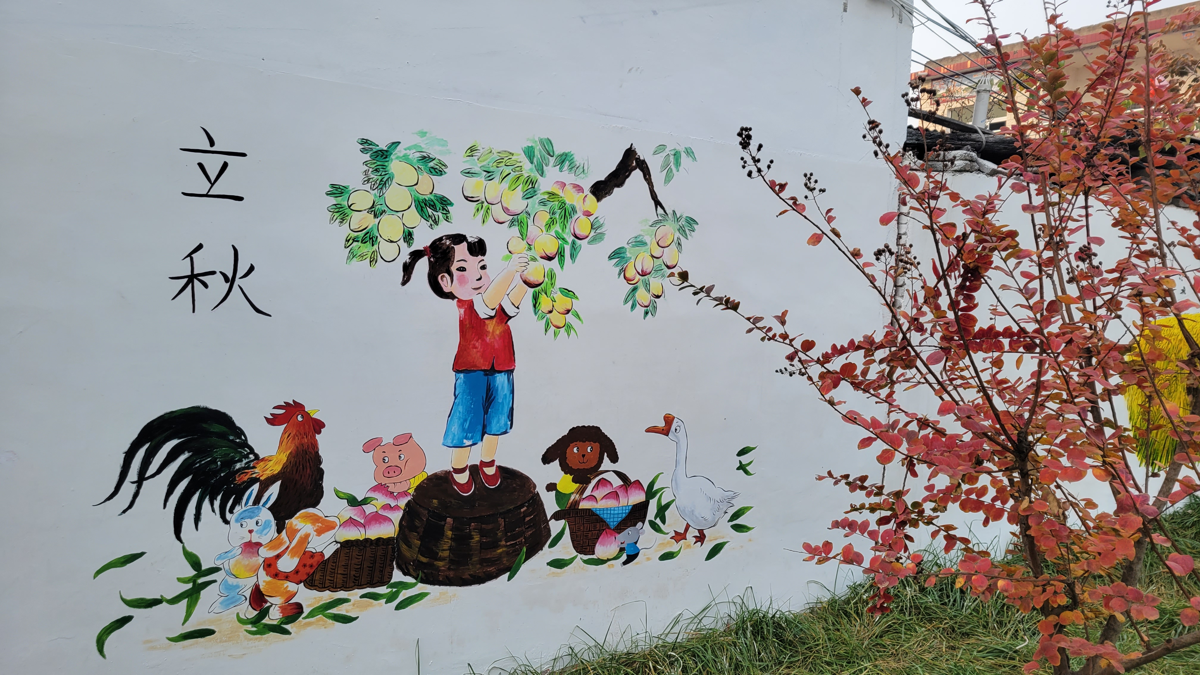 舞钢市教体局彩绘文化墙为乡村振兴聚力添彩