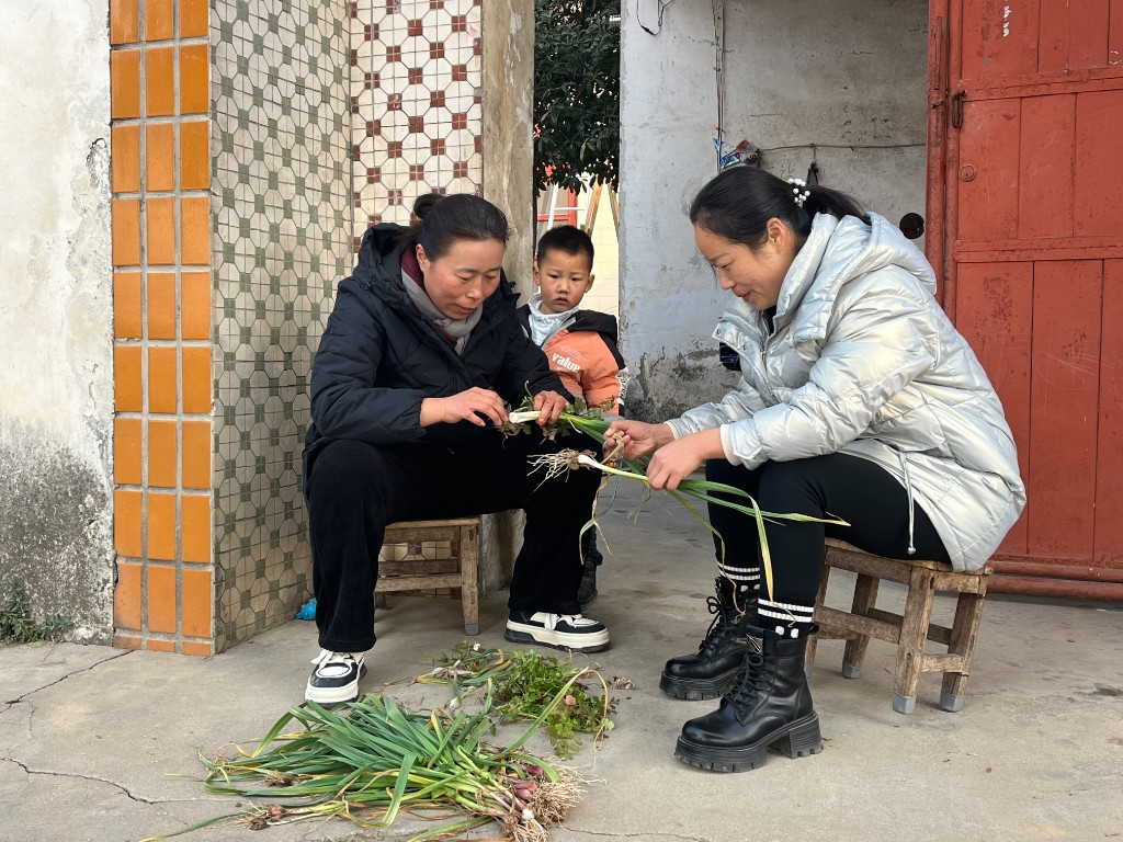 舞鋼市棗林鎮張卜莊村好妯娌托起幸福大家庭