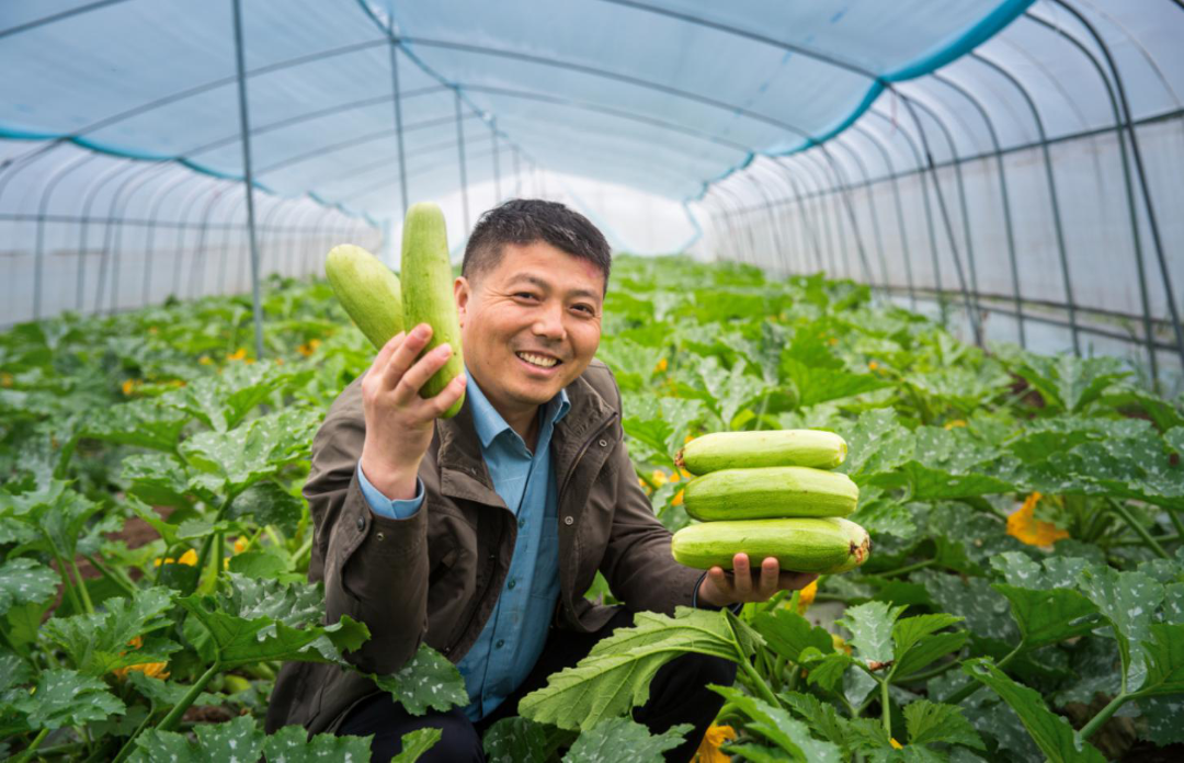 微信图片_20221009082039.png
