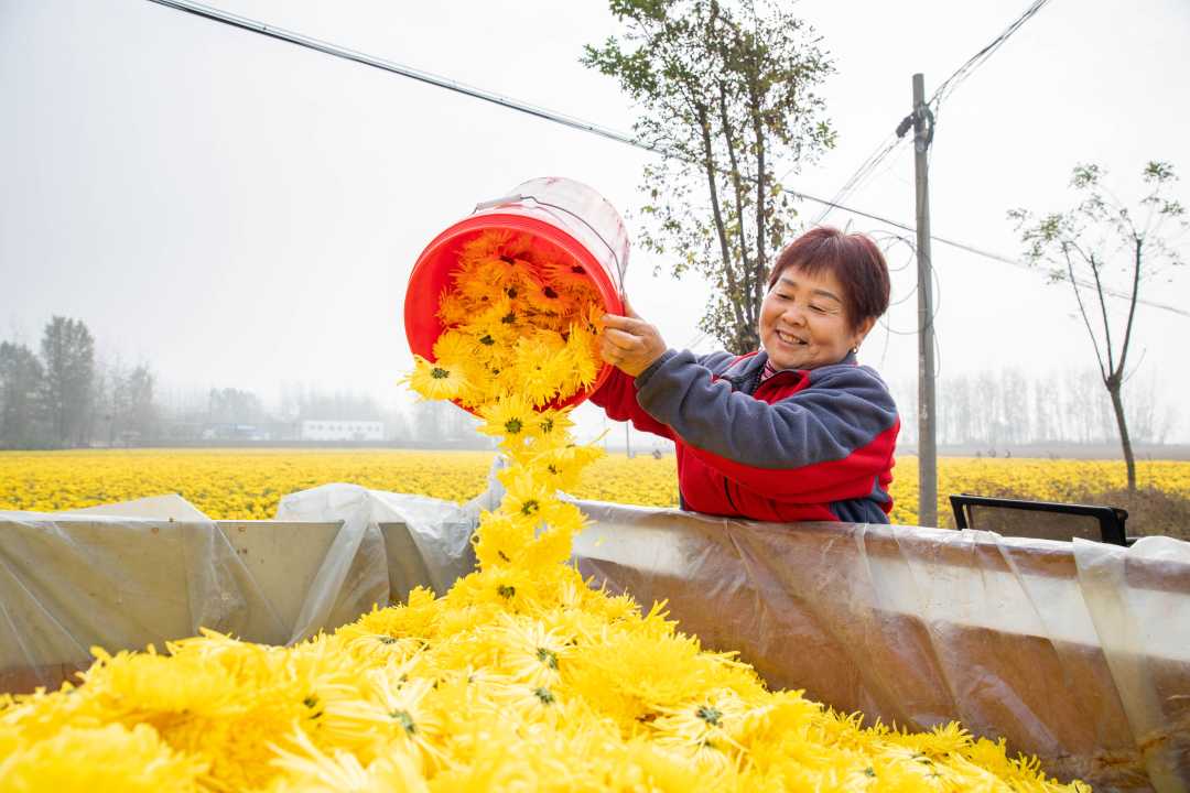 微信图片_20221009082036.jpg