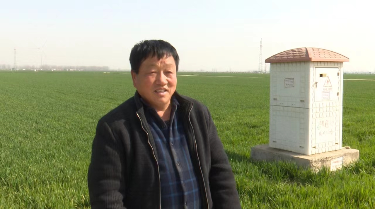在吴城镇板张村村民张保兴家的麦田里,县供电公司服务队队员详细了解