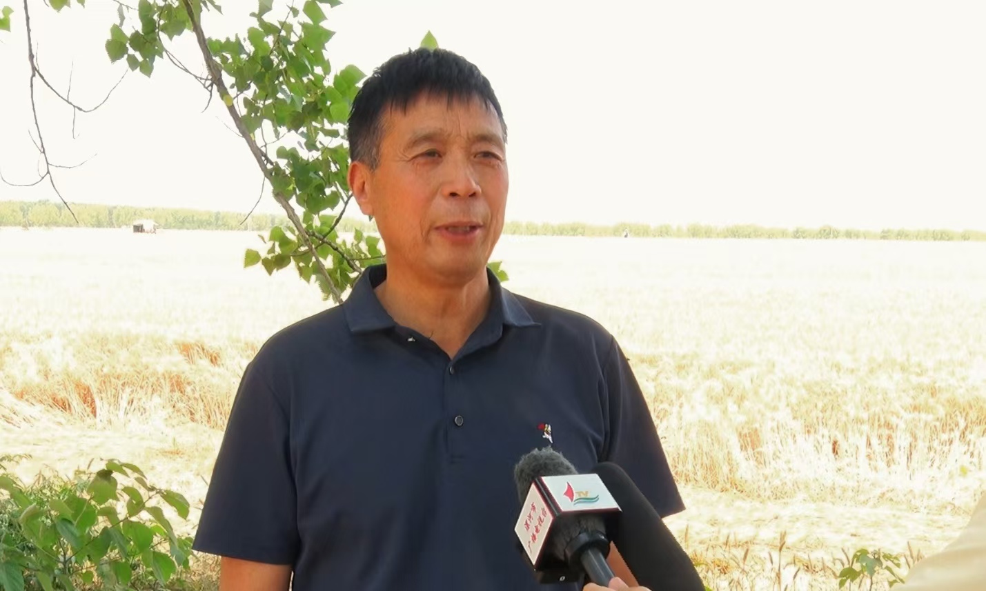 舞阳县保和乡喜开麦收"第一镰" 拉开全县"三夏"麦收序幕