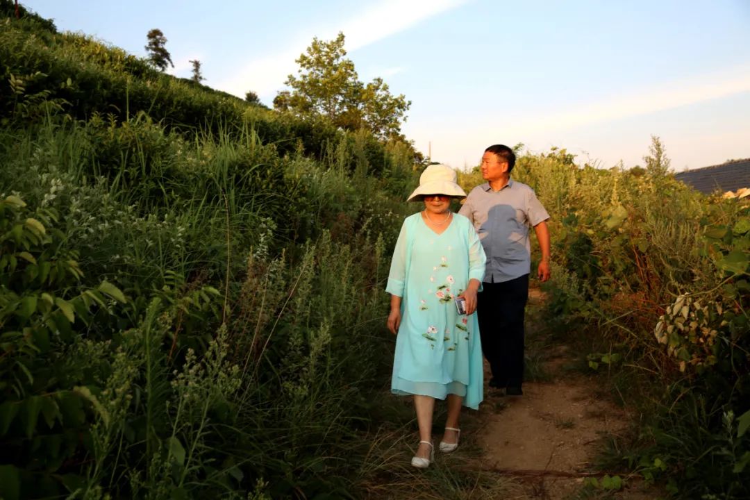 烟火新县捻一缕茶香守半生时光