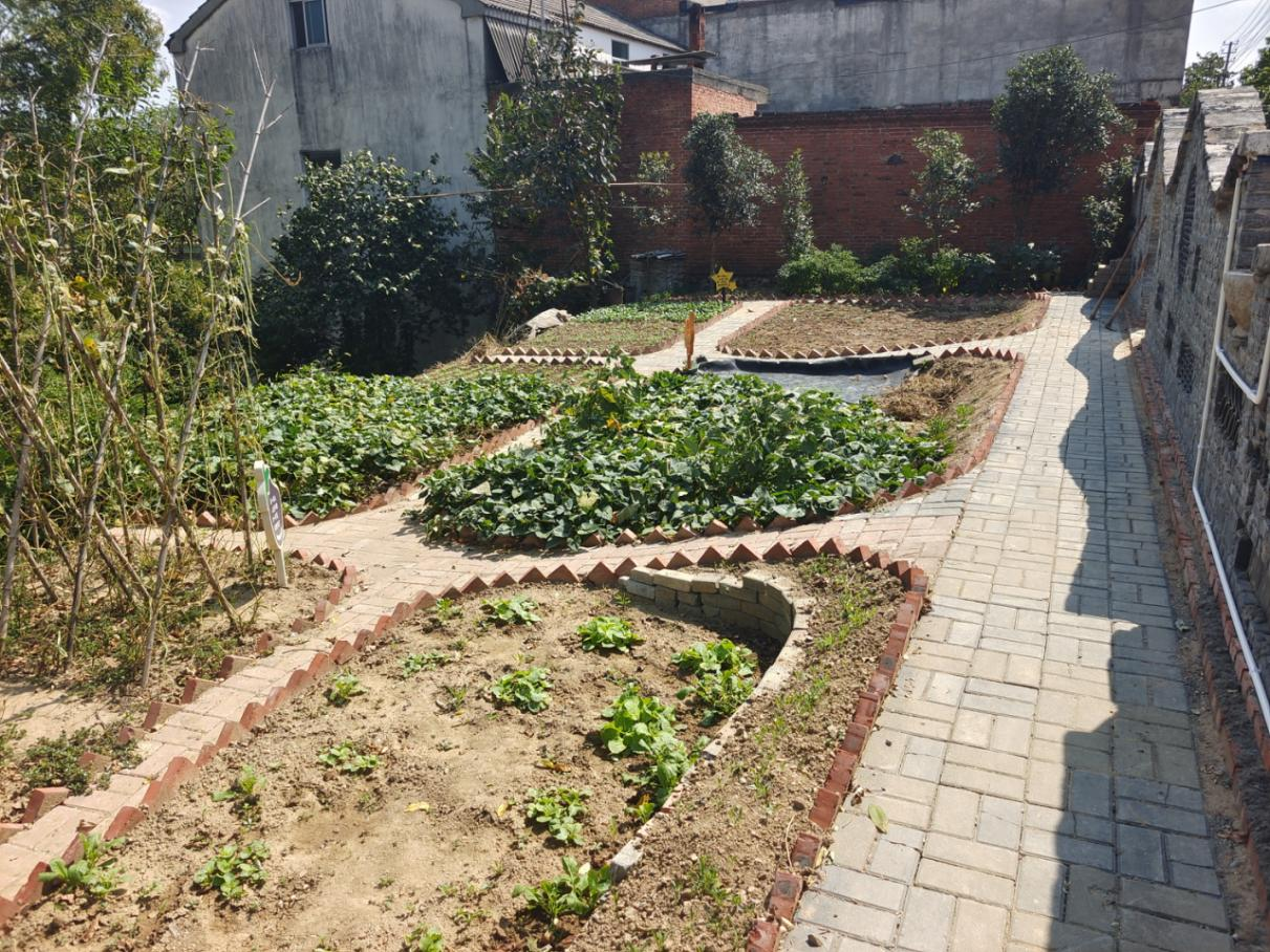闲置地块和原有小菜园,结合农村环境综合整治和农村宅基地改革,在