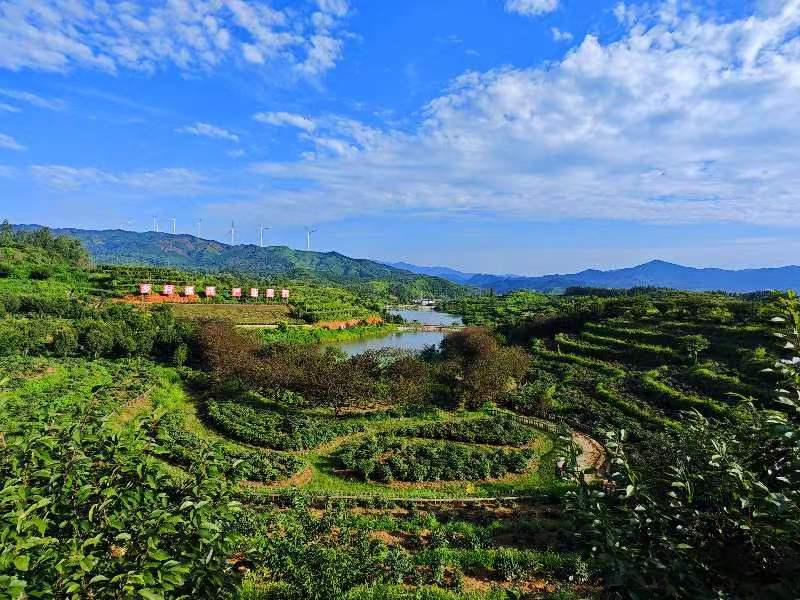 挂牌成立!新县八里畈镇乡村振兴再添"新引擎"