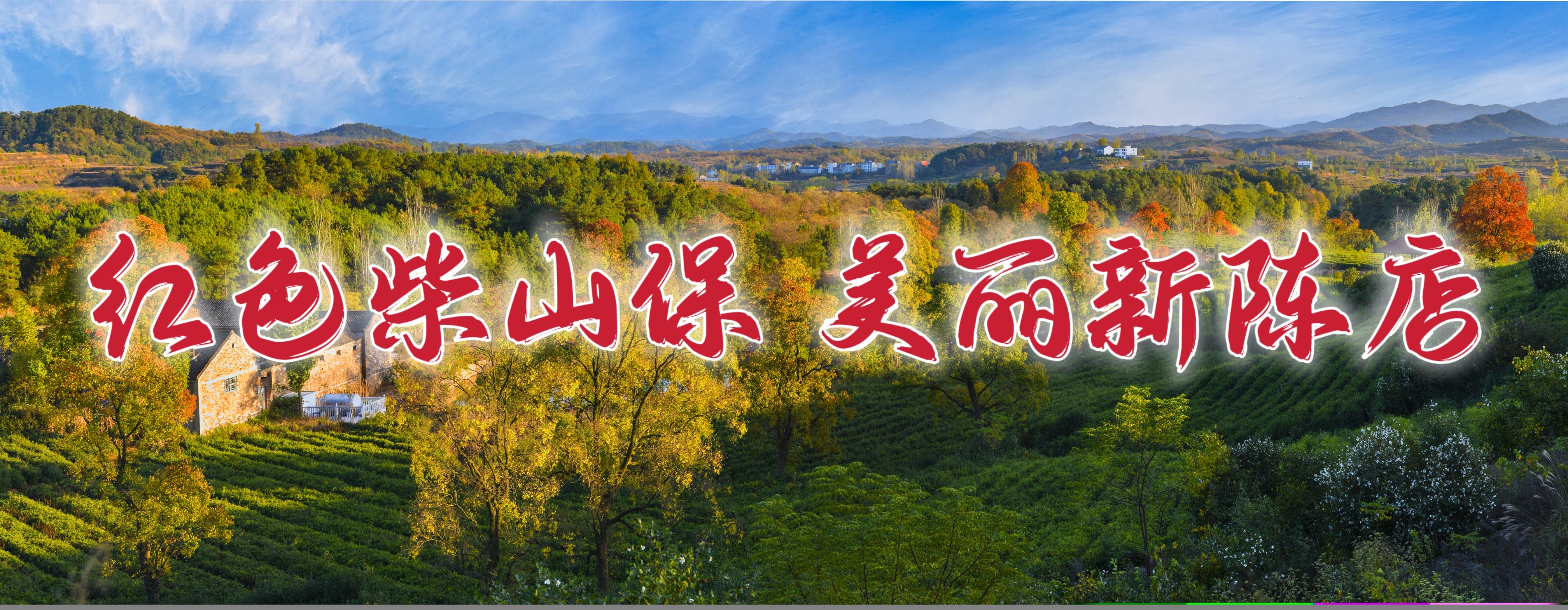 凝心聚力谋发展聚焦茶业促前行新县陈店乡召开2023年茶叶协会会员大会