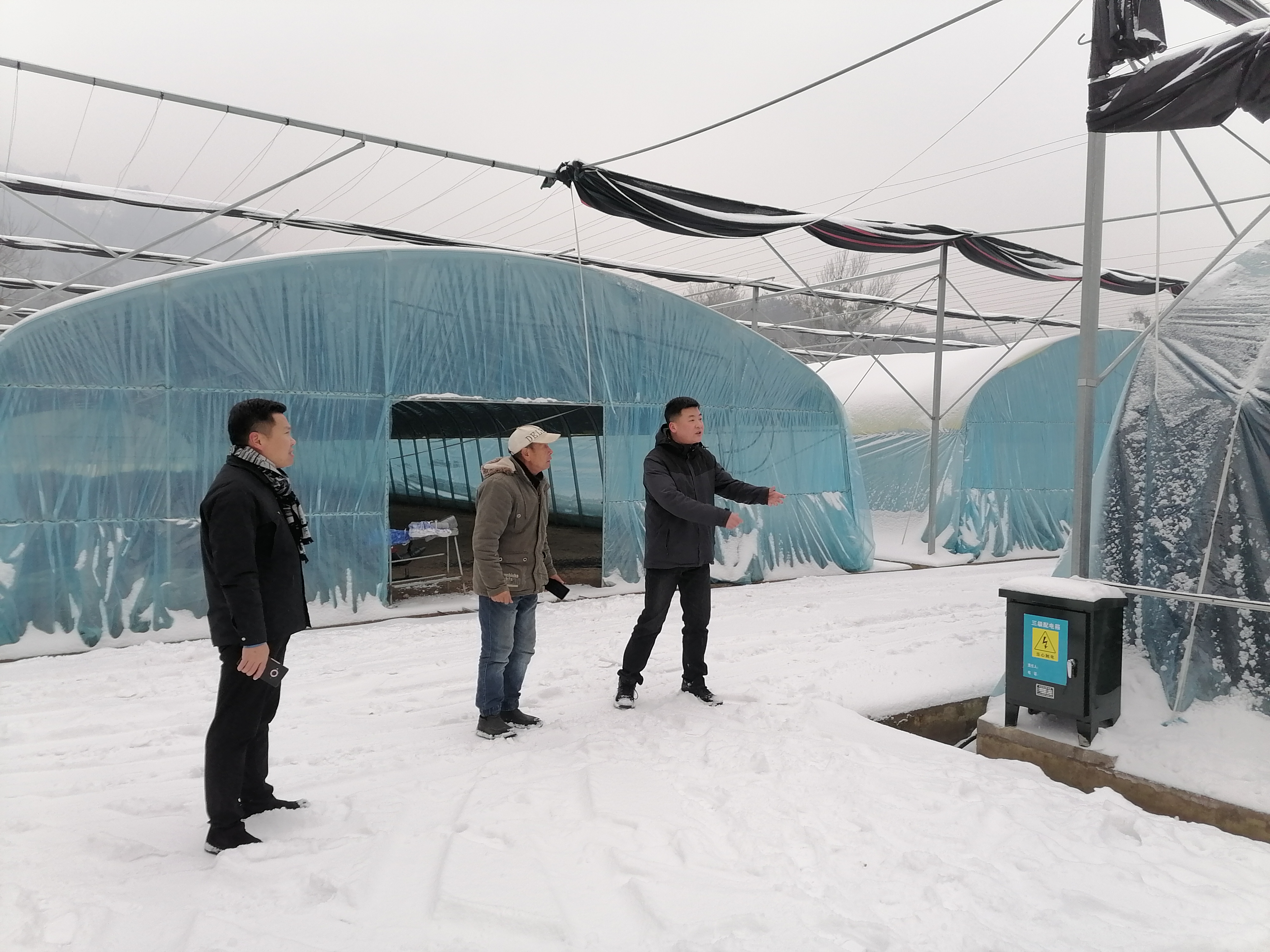 大雪来了不慌张新县卡房乡扫雪除冰护大棚