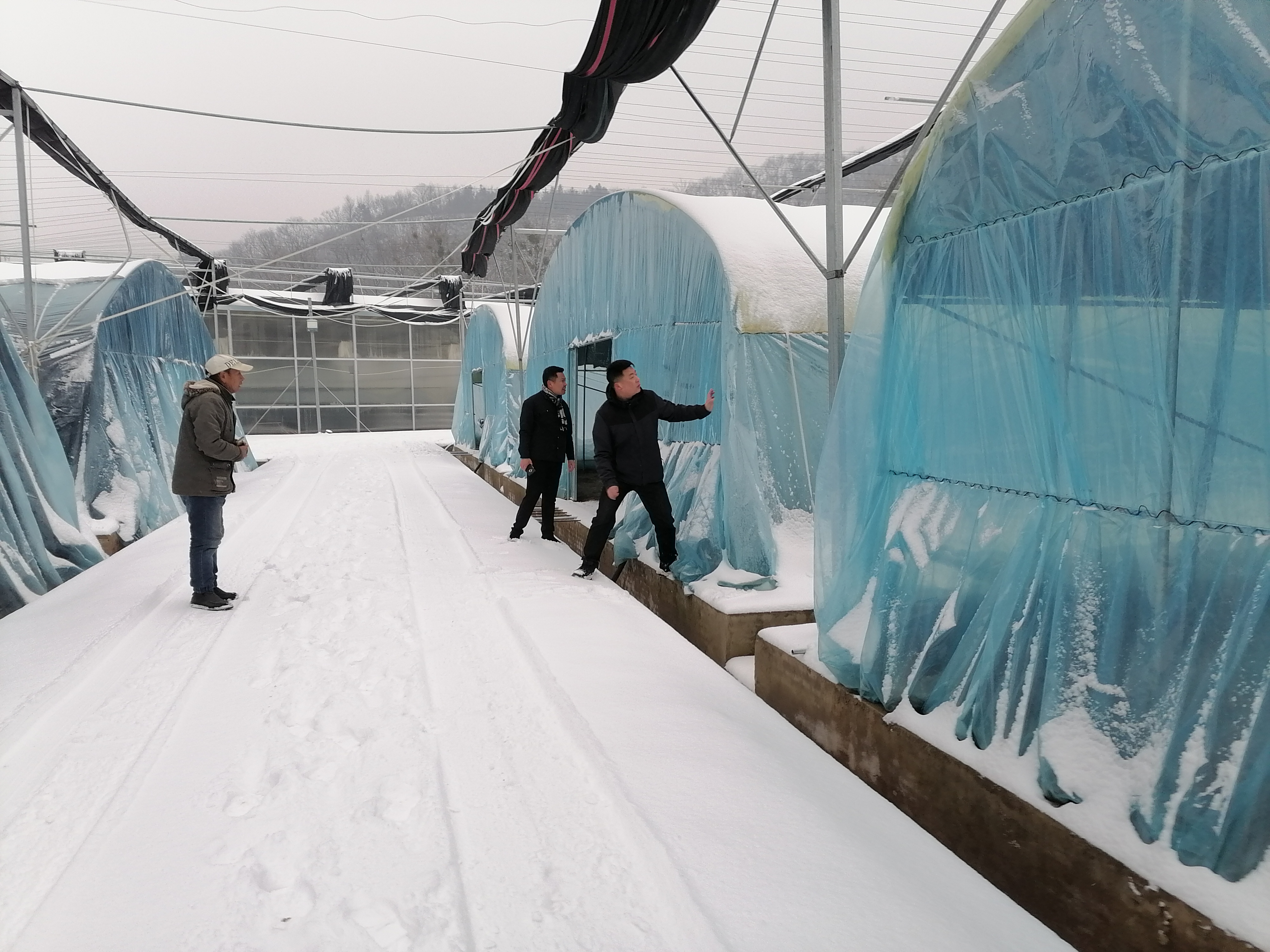 阳光房房顶下雪咋除雪图片