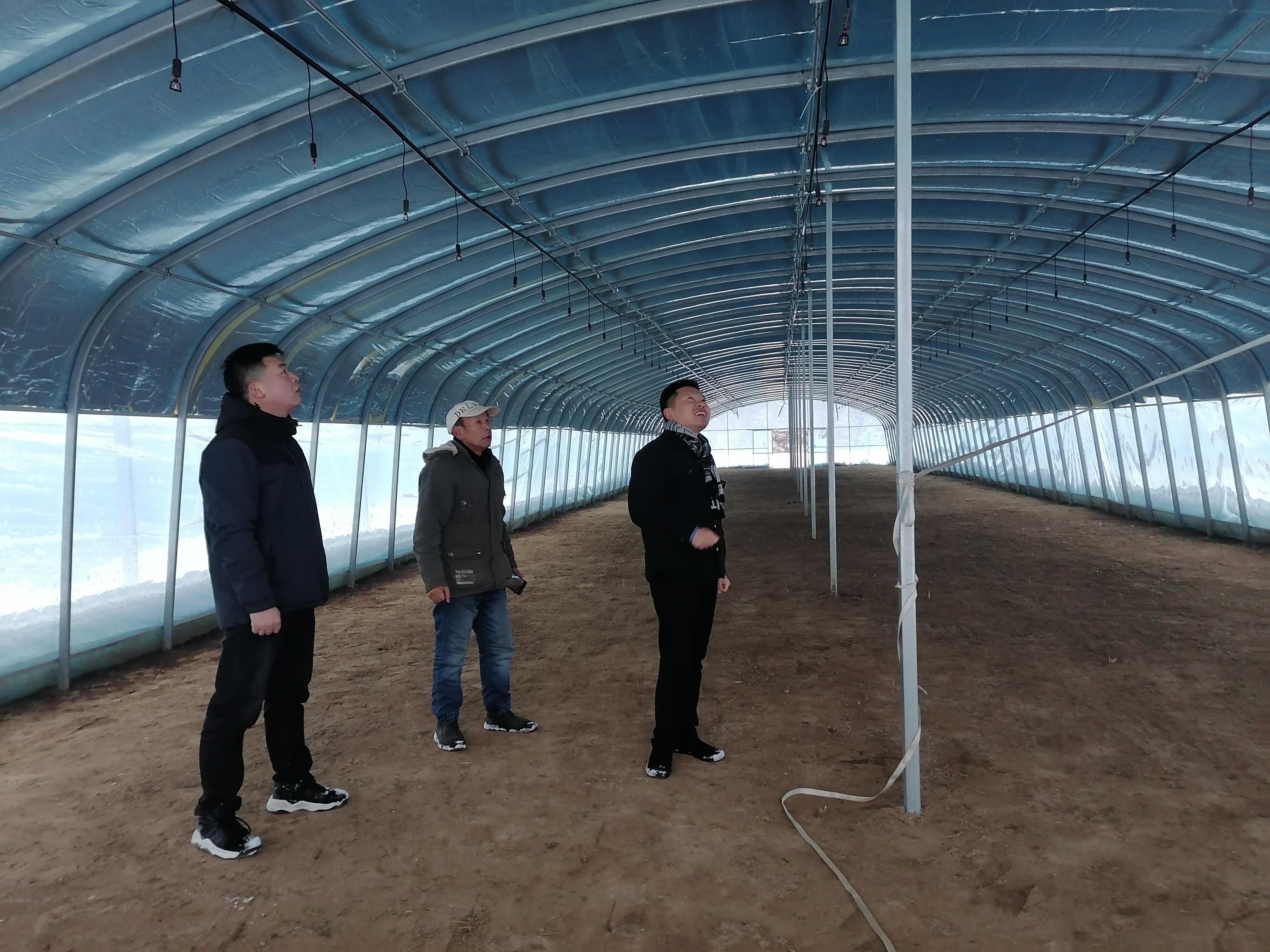 大雪来了不慌张新县卡房乡扫雪除冰护大棚