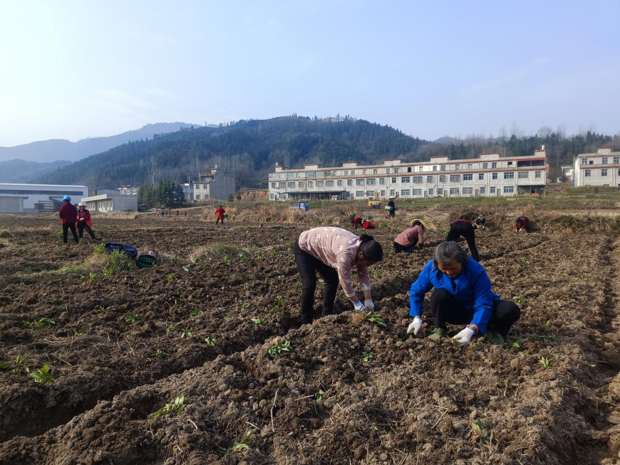 河南新县沙窝镇宾馆图片