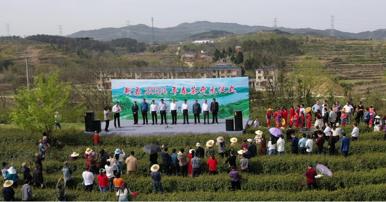 新县陈店乡:"绿叶子"变身产业振兴"金叶子"-大象网
