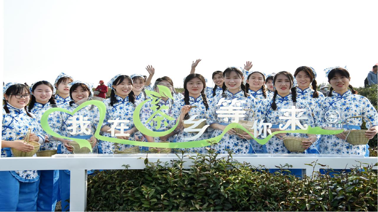 国际茶日∣品一杯沁人心脾的陈店茶