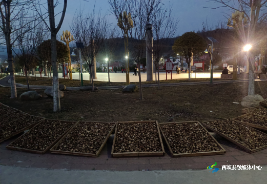 西峡县桑坪镇:产业兴旺星照亮群众安居乐业路-大象网