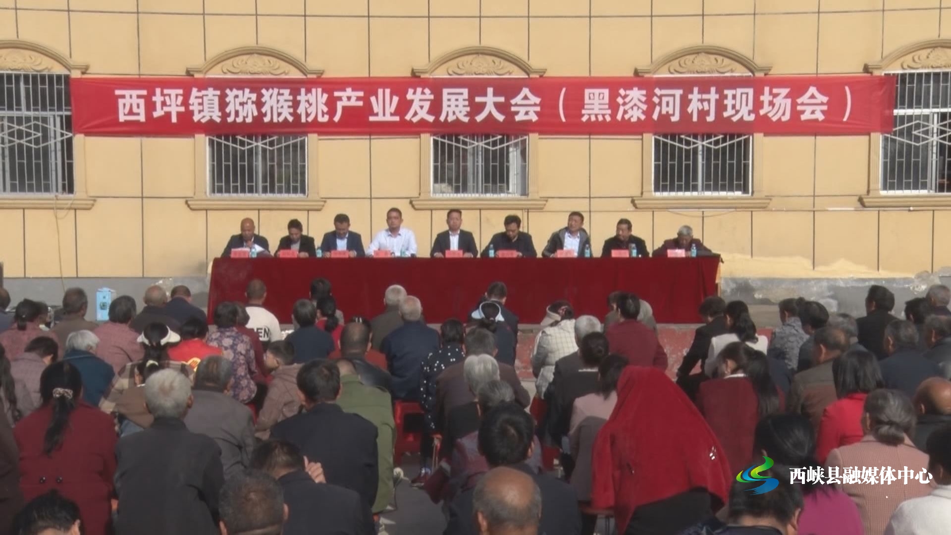 图文|西峡县西坪镇:发展猕猴桃 富民促增收-大象网