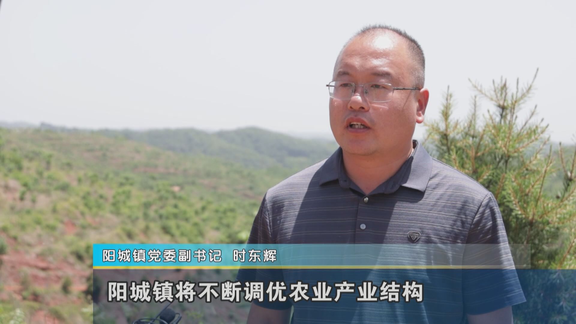 图文 | 西峡县阳城镇:2000亩金银花喜获丰收