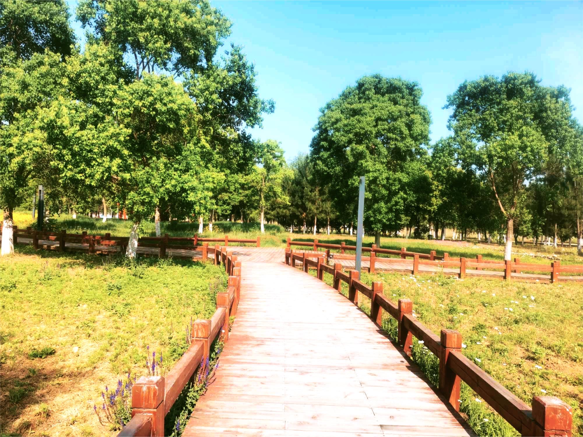 西峡县鹳河文化生态园:寻足问典,果然风情