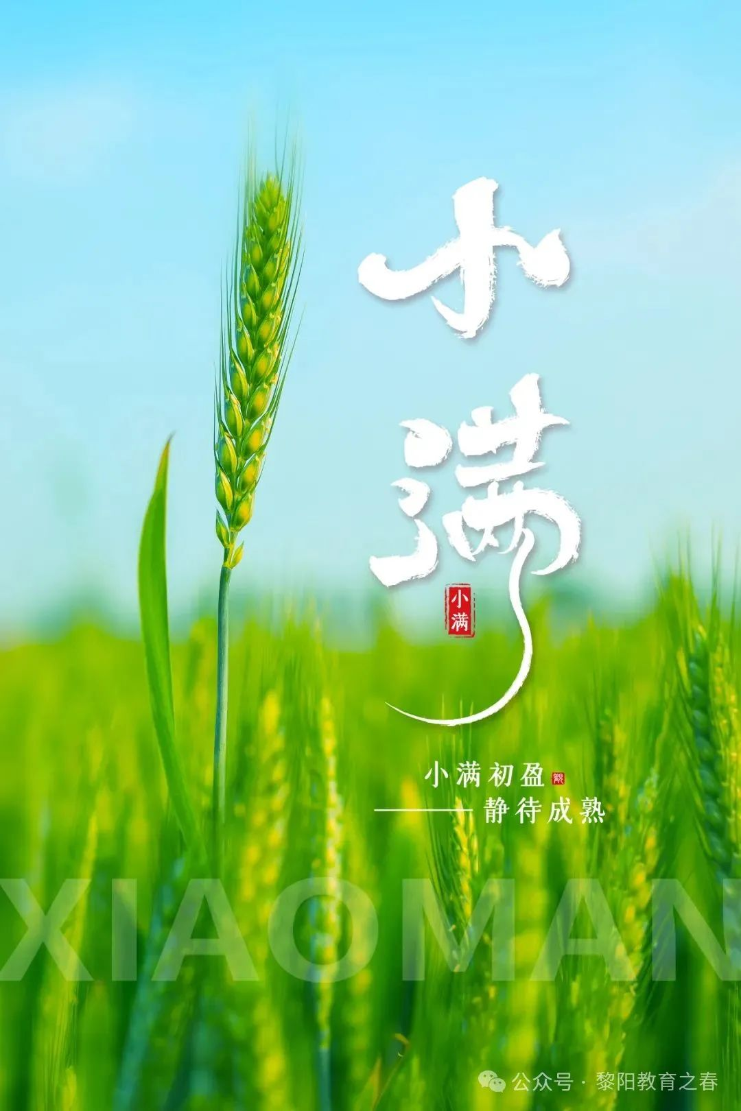 小满小满,幸福满满—黎阳街道西沙地幼儿园小满节气主题活动