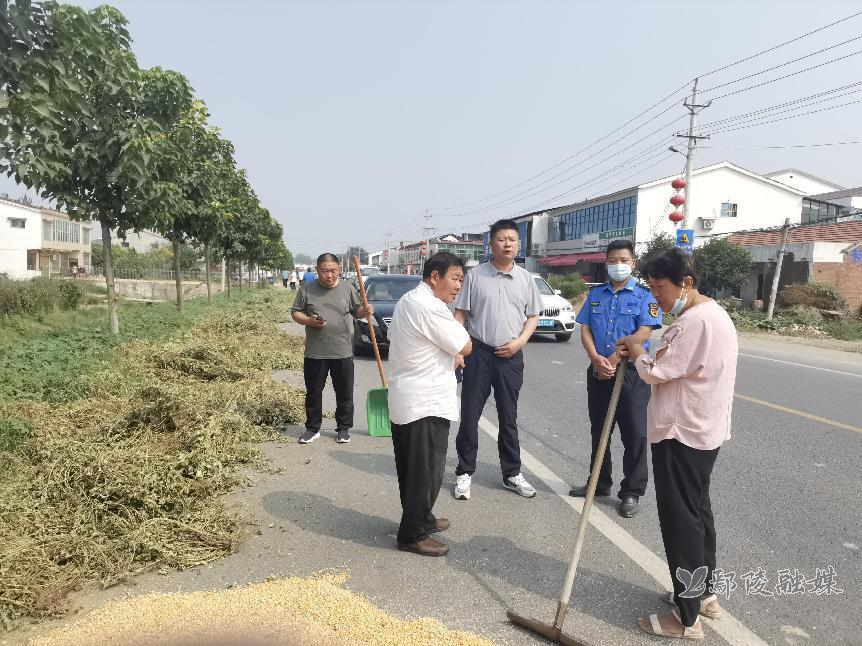 鄢陵县张桥镇图片