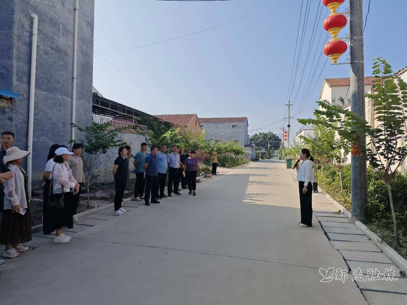 鄢陵望田镇图片