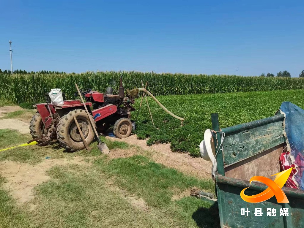 叶县夏李乡全力抗旱保秋粮加强巡逻防溺亡