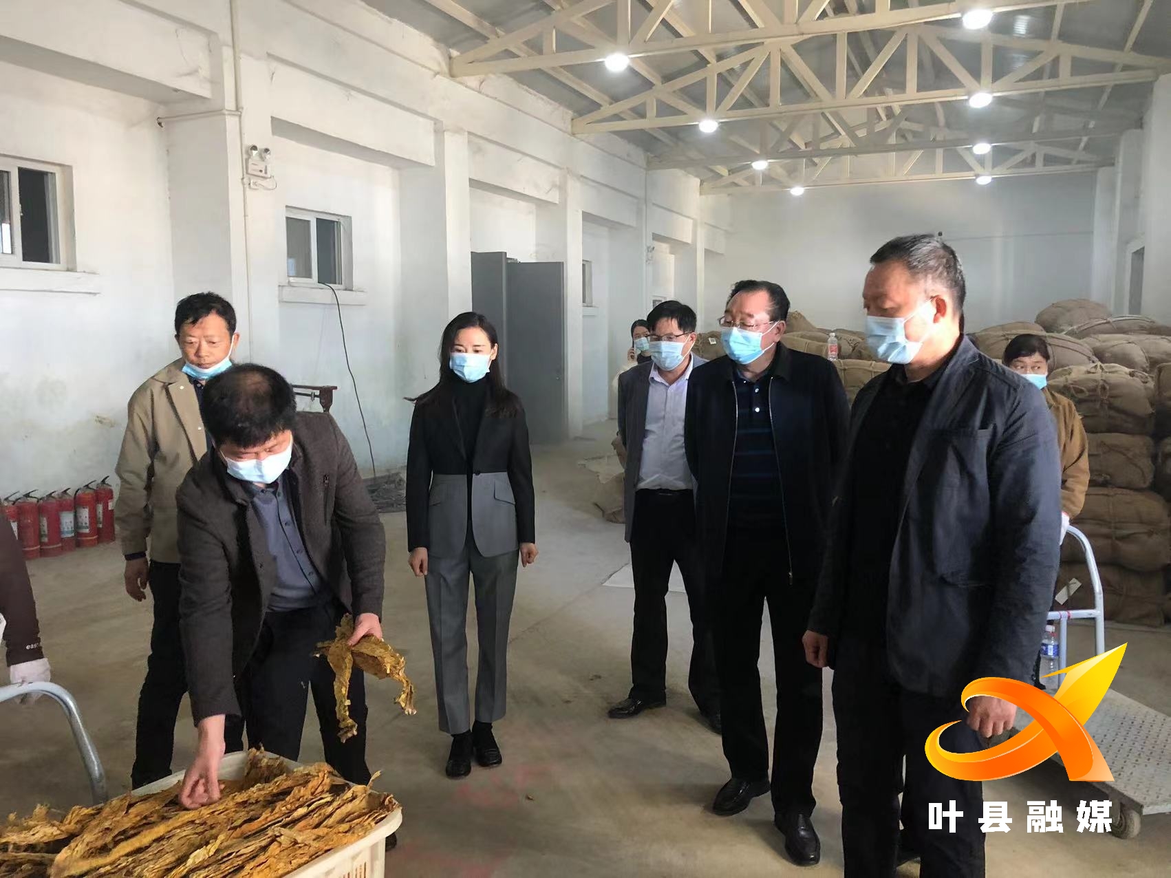 平顶山市烟草局局长顾建国到叶县保安镇调研烤烟生产情况