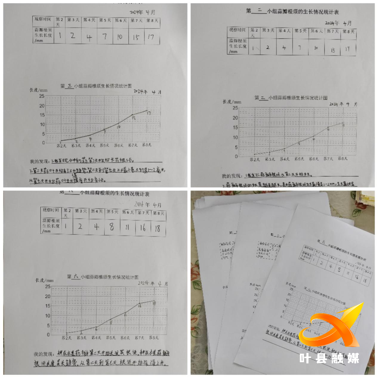 单式折线统计图评课稿图片