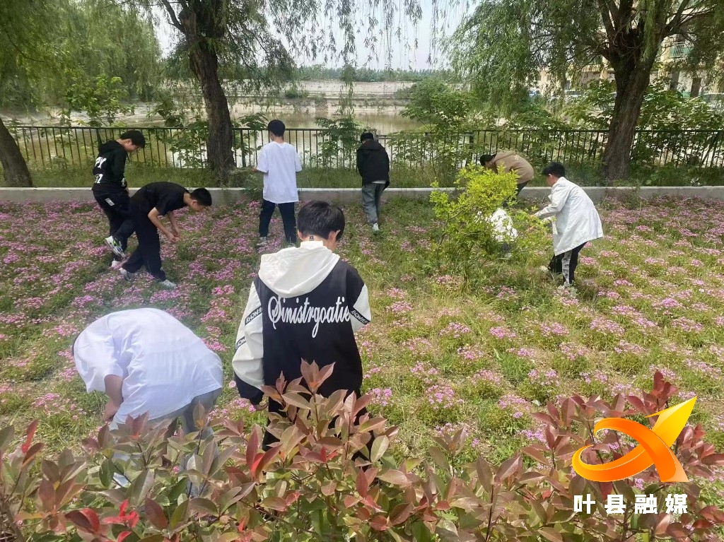 叶县邓李乡初级中学:践行劳动教育 助力乡村振兴