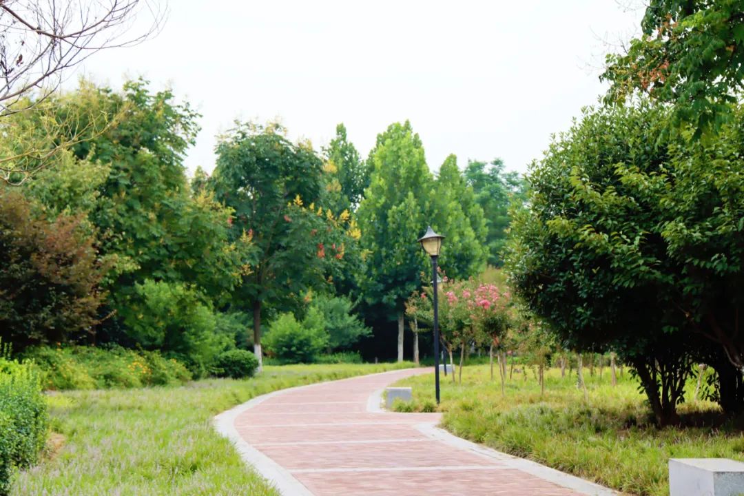 永城市汪楼沟风景带绿意盎然美景如画