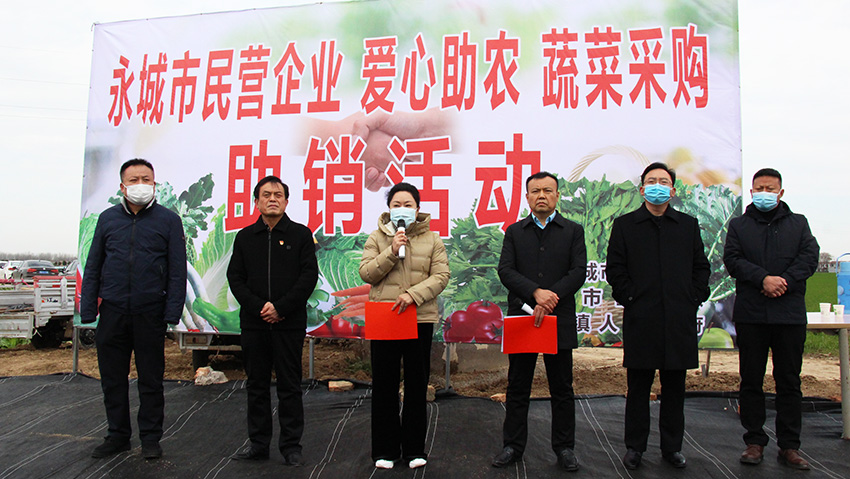 胡淼，11月30日-我市举办民营企业“爱心助农”蔬菜采购助销活动启动仪式图片3.JPG