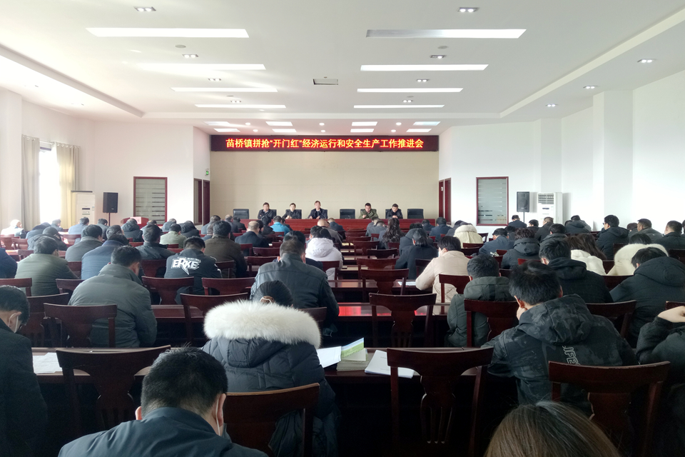 苗桥镇召开拼抢“开门红”经济运行和安全生产工作推进会.jpg