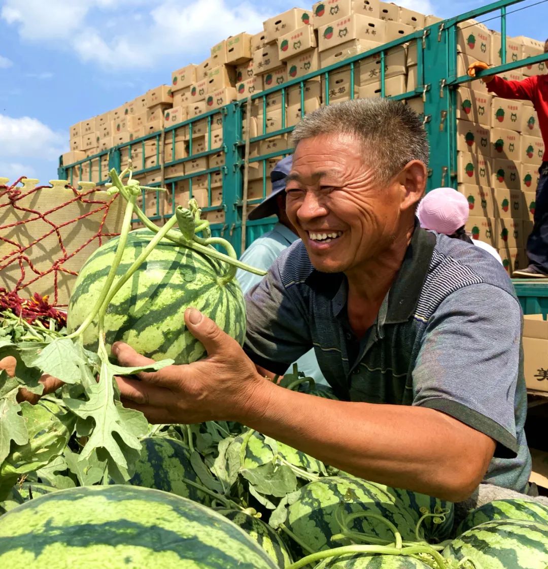 大型吃瓜群众图片图片